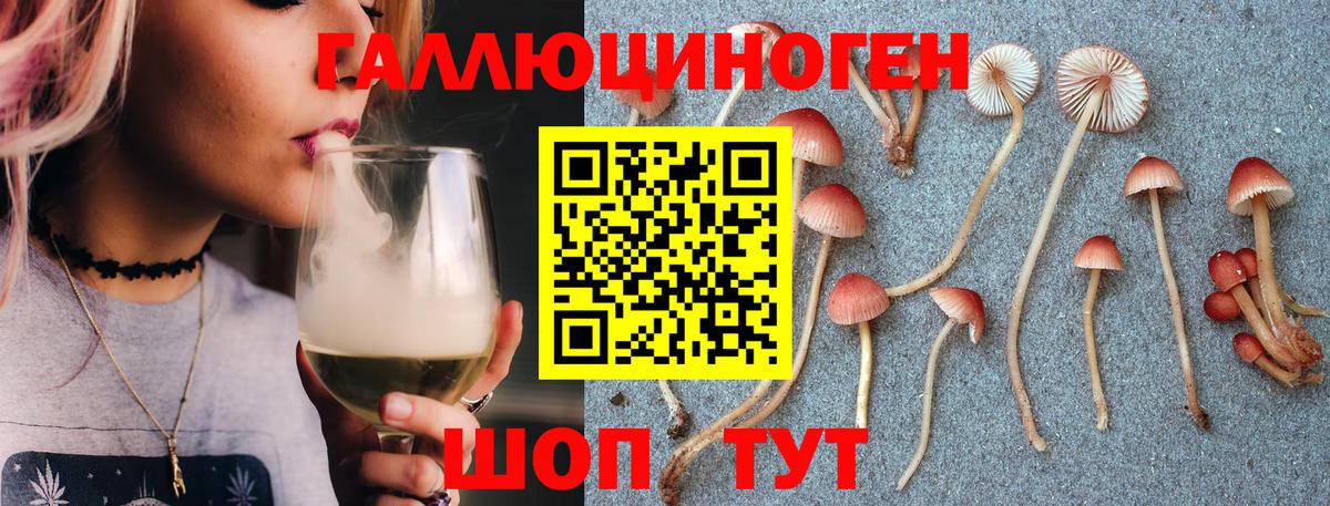 Галлюциногенные грибы Cubensis  Вход с VPN  Кимовск 