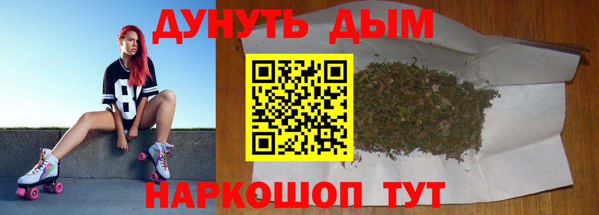 Кимовск  МАРИХУАНА SATIVA & INDICA  МАРИХУАНА семена  Каннабис планчик  Вход с VPN  Конопля сатива 